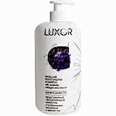 Мицеллярный шампунь для чувствительной кожи головы LUXOR Sulfate & Paraben Free с пробиотиками, коллагеном и маслом чиа, 1000 мл - site41.local - Алматы