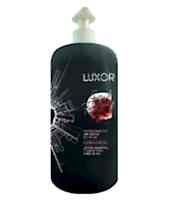 Детокс-шампунь для чувствительной кожи головы LUXOR Sulfate&Paraben с черным углем и маслом Чиа - site41.local - Алматы