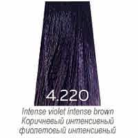 Краска для волос  Luxor Graffito Professional 4.220 коричневый интенс фиолет интенсив 100 мл - site41.local - Алматы