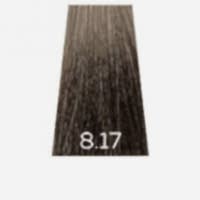 Краска для волос  Luxor Graffito Professional 8.17 светл блонд пепельно-шоколадный 100 мл - site41.local - Алматы