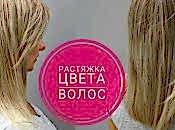 Семинар "Современные техники окрашивания. Растяжки цвета"